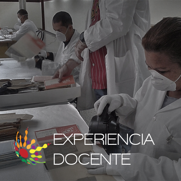 Experiencia Docente 1