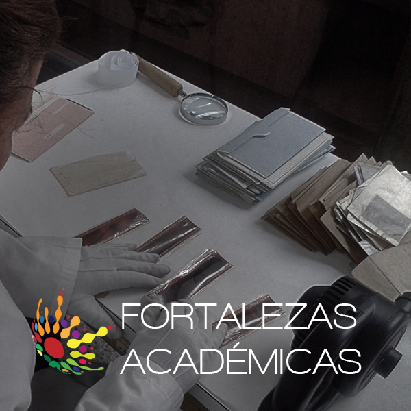 Fortalezas Academicas1